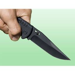 SOG SOG-FF11-CP Salute Folding Knife Clip Point Black Blade Black GRp