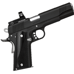 Kimber America 3700638 Custom LW OI Nightstar 45 ACP