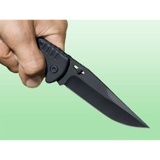 SOG SOG-FF11-CP Salute Folding Knife Clip Point Black Blade Black GRp